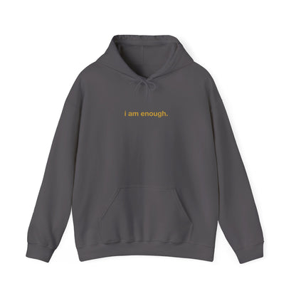 I am enough. Hoodie